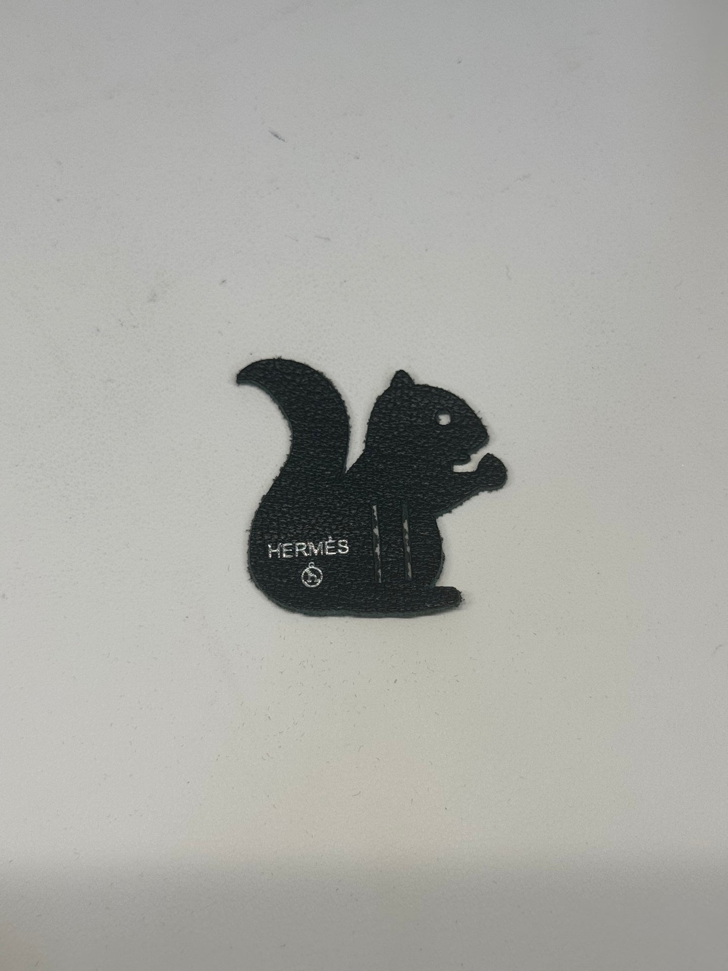 Hermes squirrel