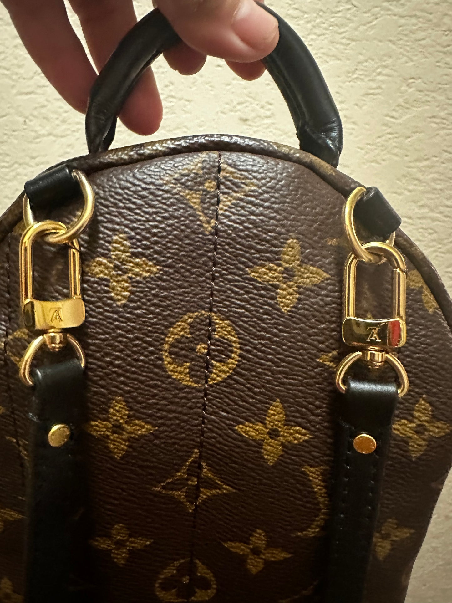 Louis Vuitton Mini Palm Springs