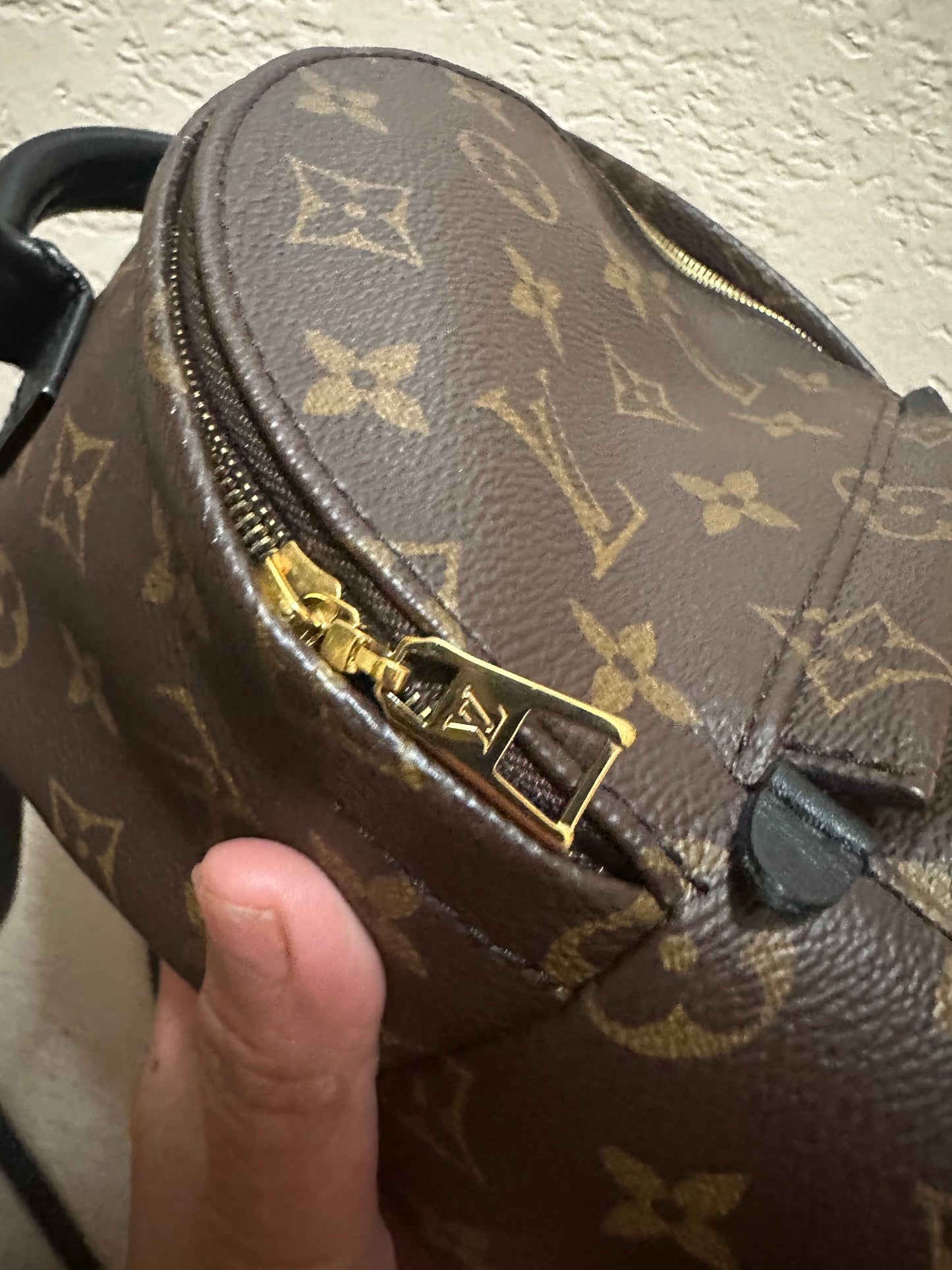 Louis Vuitton Mini Palm Springs