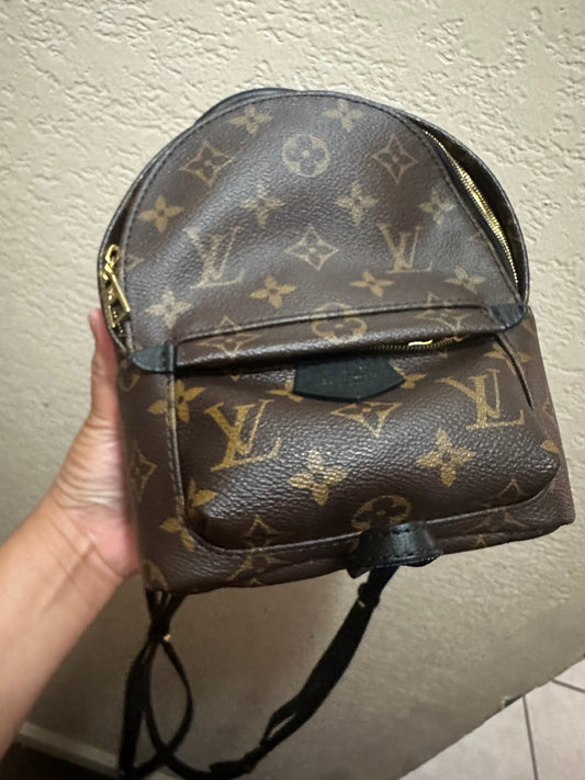 Louis Vuitton Mini Palm Springs