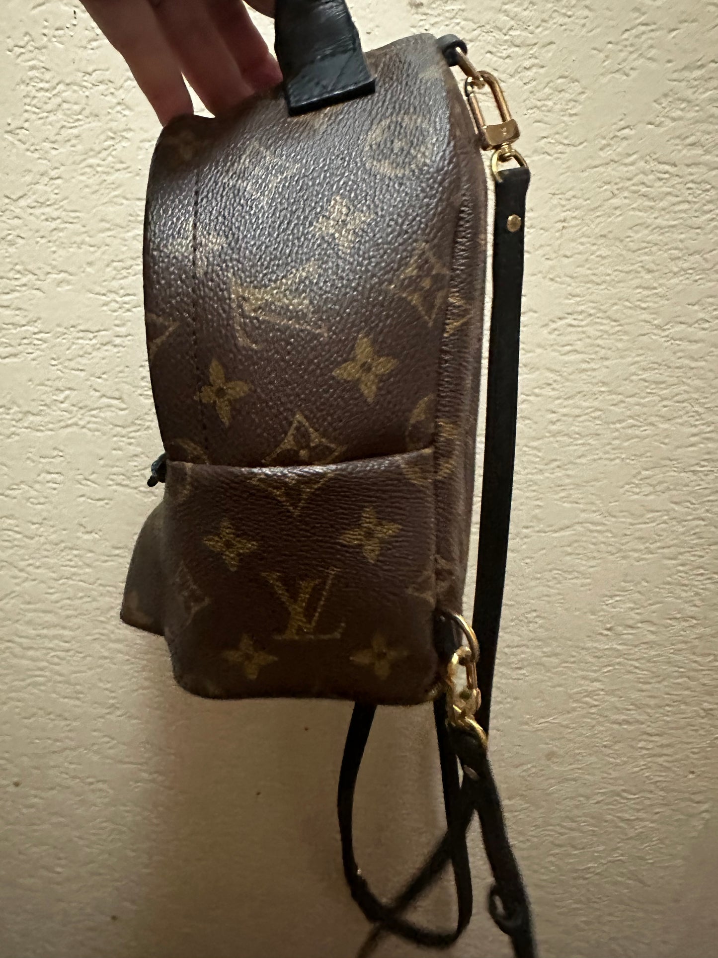 Louis Vuitton Mini Palm Springs