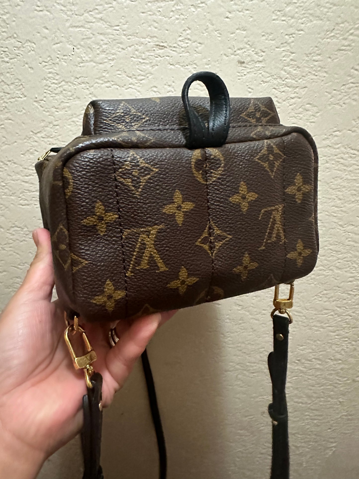 Louis Vuitton Mini Palm Springs