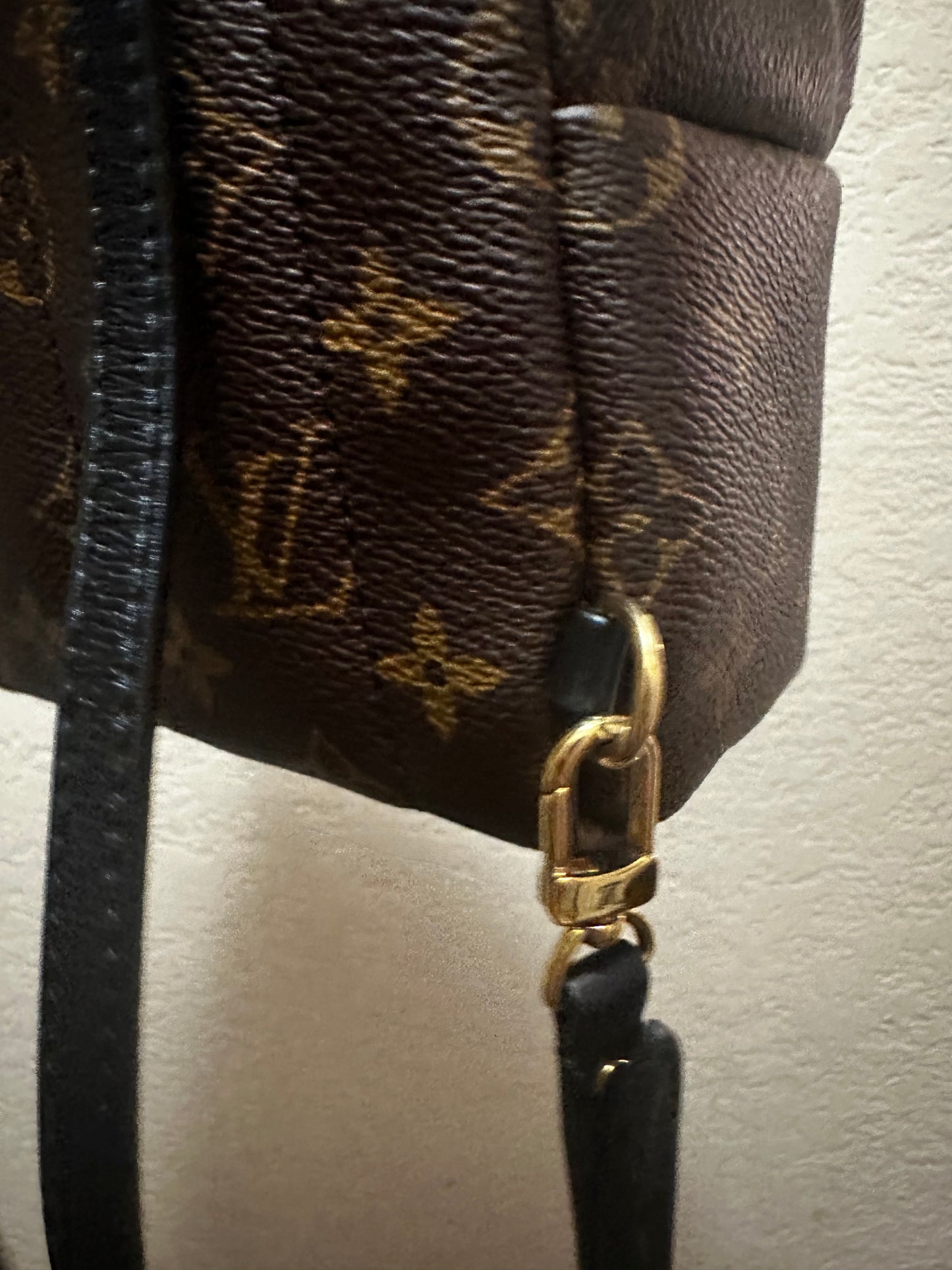 Louis Vuitton Mini Palm Springs